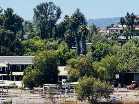 2F13DBAD-8269-4EAF-9D1D-A99B5692894D_4_5005_c