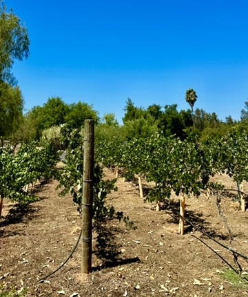 C3018AAD-05E2-42D5-8EC2-E51C4587B559_4_5005_c