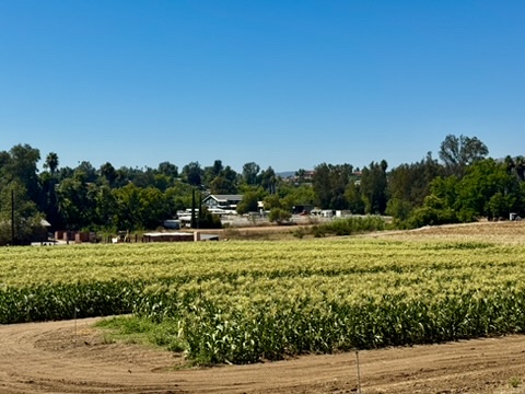 D48EB712-A1B4-4131-A58C-06F5D2D53809_4_5005_c